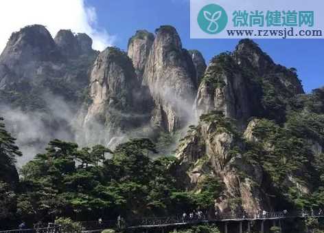 游客爬到黄山悬崖的松树上拍照是怎么回事 黄山的景色有多美