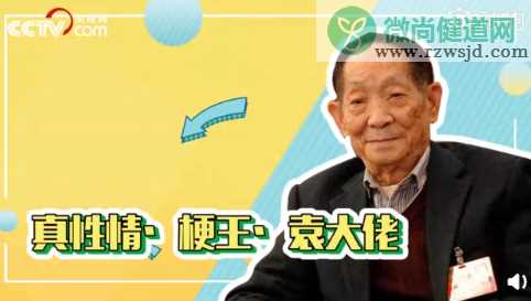 90后梗王袁隆平怎么回事 袁隆平有哪些梗