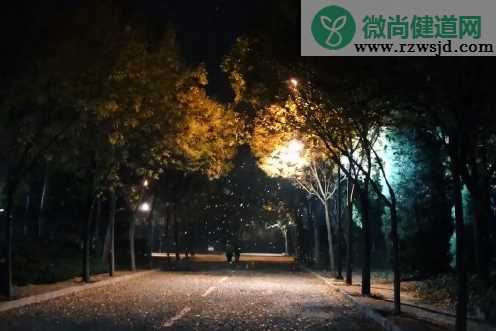 一夜直接变成冬天的朋友圈说说 一下子到冬天的感慨句子