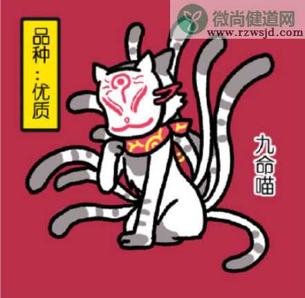 微博抓猫机是什么意思 抓猫机在哪里可以玩