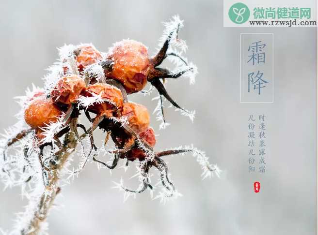 2019霜降节气问候语祝福大全 霜降节气祝福语说说