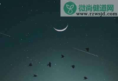 不同星座的聊天观 十二星座不同的价值观