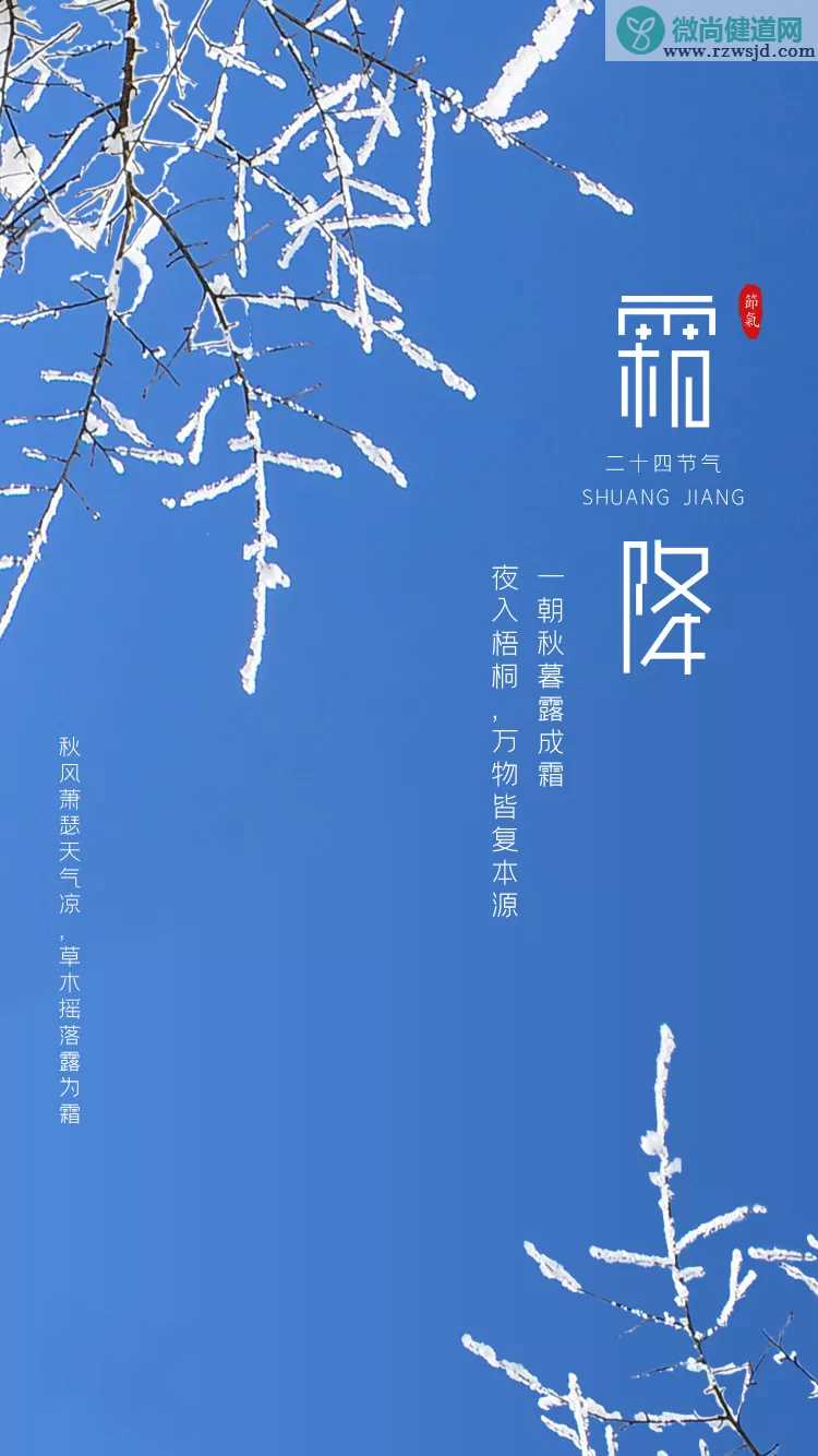 霜降借势文案怎么写 霜降借势创意文案海报2019