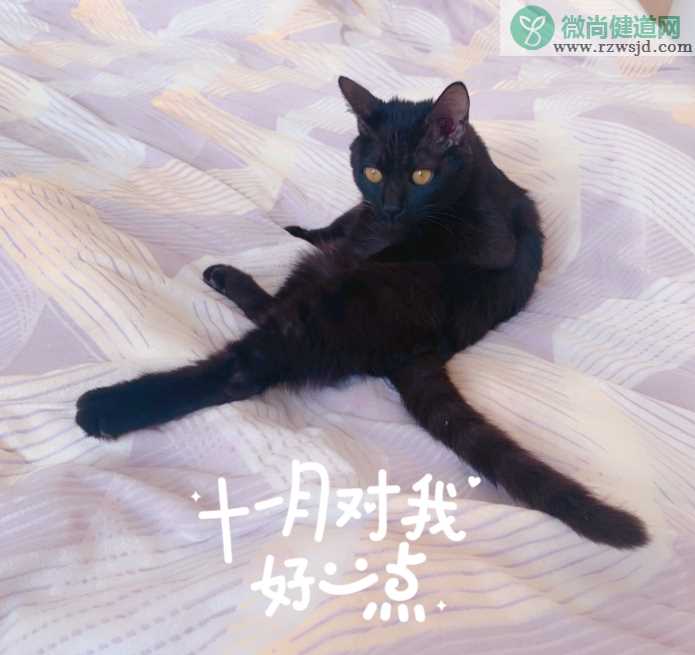 十一月对我好一点心情感慨 十一月的开头心情句子朋友圈