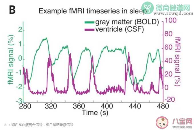 人类睡觉时大脑清洗过程是怎么进行的 为什么人只有在睡觉时才会洗脑