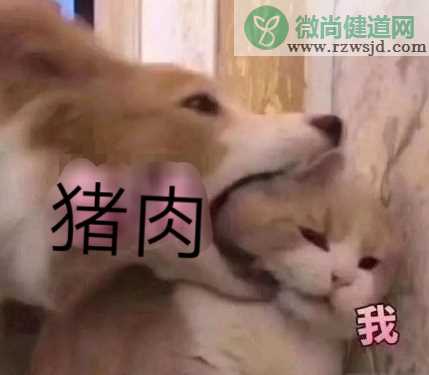 吃不起猪肉搞笑段子心情 吃不起猪肉朋友圈调侃说说