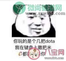 键盘上撒把米是什么梗出处是什么 键盘上撒把米表情包大全