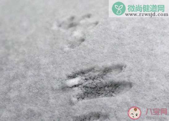 今日是小雪文案说说怎么发 今日小雪唯美温暖句子大全