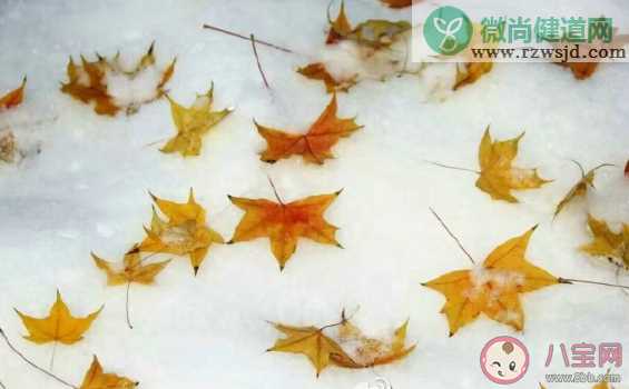 2019小雪节气发表心情文案句子 小雪祝福问候语大全