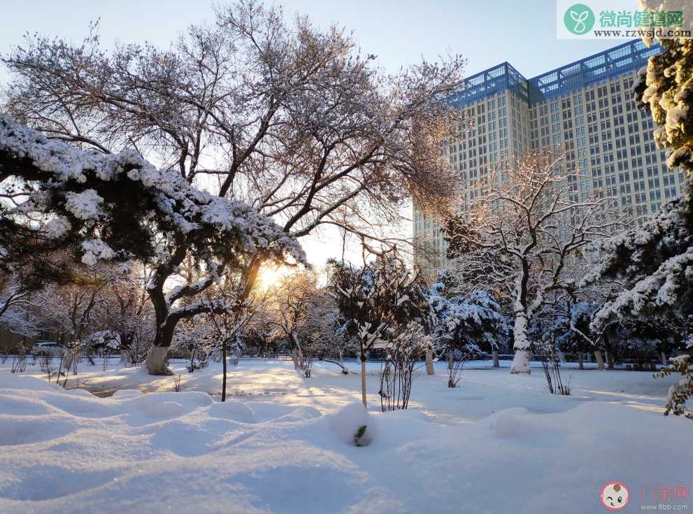 关于初雪的唯美说说 下雪啦的心情感慨