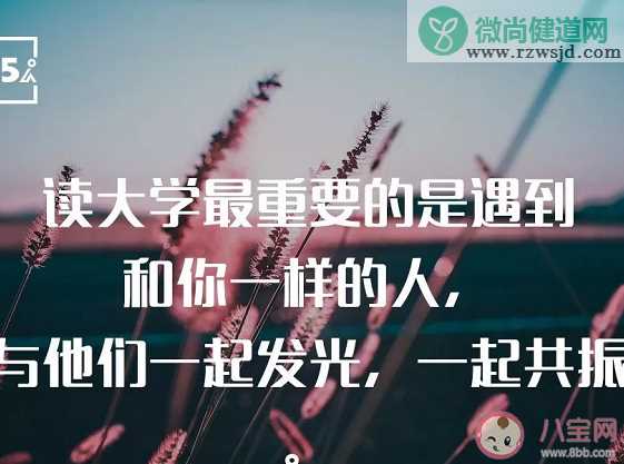 读不读大学差别大吗 读大学和不读大学的区别在哪里