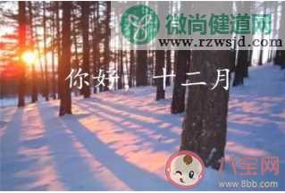 11月最后一天朋友圈心情文案句子 2019十一月最后一天致自己的话