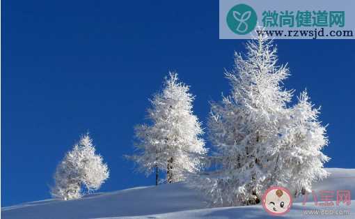 小雪节气今日小雪的创意文案说说 2019小雪发的唯美朋友圈说说语录