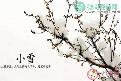 小雪快乐小雪到了的心情文案大全 小雪节气朋友圈图片心情句子