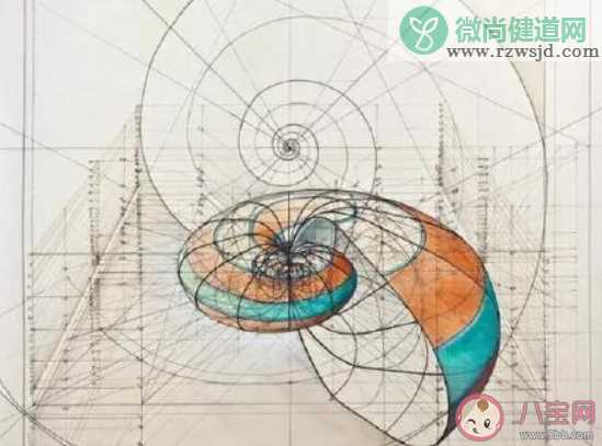 数学老师用函数曲线作画是怎么回事 震撼心灵的几何美学图片盘点