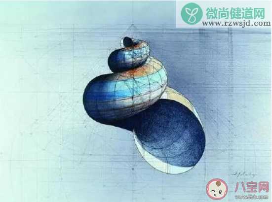 数学老师用函数曲线作画是怎么回事 震撼心灵的几何美学图片盘点