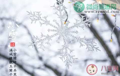 今日小雪的诗有哪些 今日小雪古诗短句大全