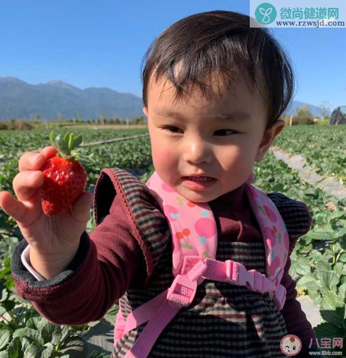 带娃去摘草莓的心情感慨 和孩子一起摘草莓的说说句子