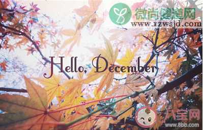 11月再见12月你好最新带字图片说说 告别十一月迎接十二月的朋友圈句子