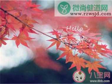 11月再见12月你好最新带字图片说说 告别十一月迎接十二月的朋友圈句子