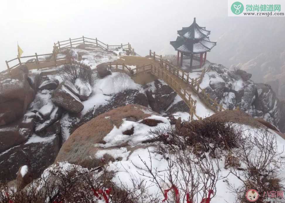 山上下雪了心情说说 2019下雪的优美句子说说