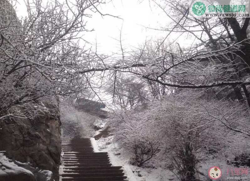 山上下雪了心情说说 2019下雪的优美句子说说