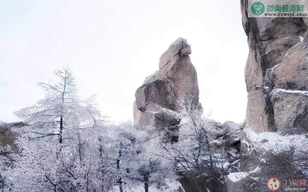 山上下雪了心情说说 2019下雪的优美句子说说