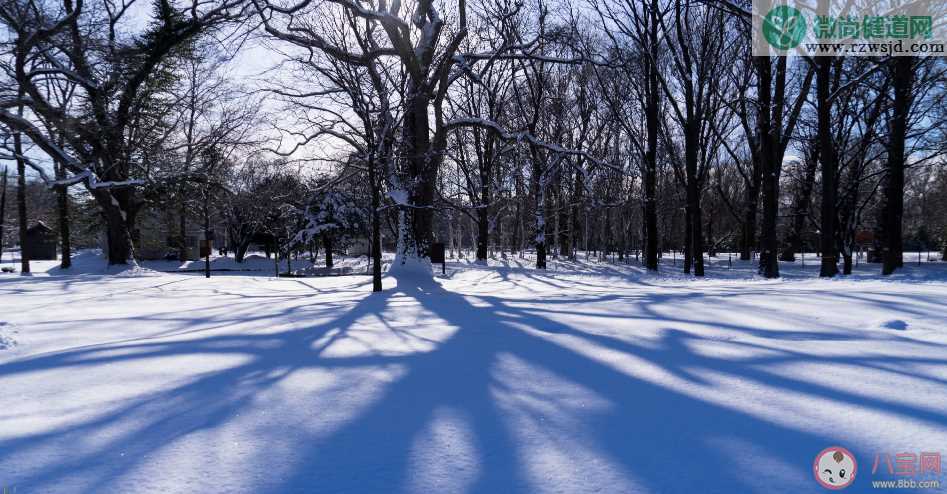 2019今日大雪的祝福 今日大雪发什么说说朋友圈