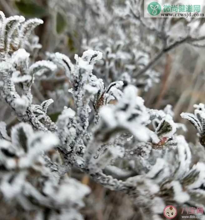 2019今日大雪的祝福 今日大雪发什么说说朋友圈