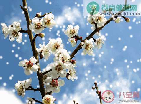 2019大雪节气微信群发祝福语大全 大雪节气微信朋友圈问候语说说