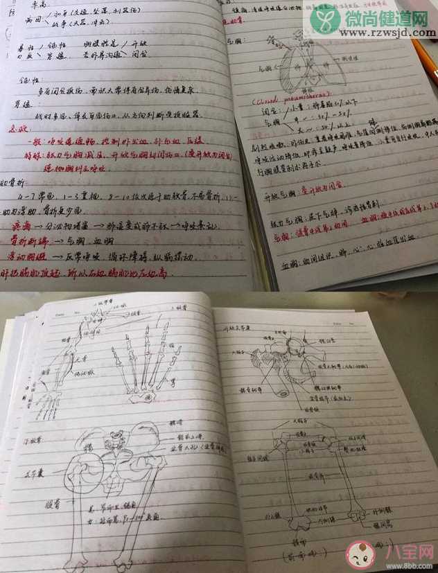 医学生期末考试有多惨 期末考试复习方法