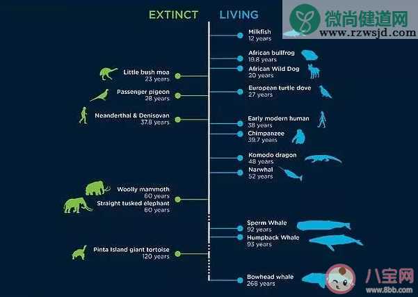 人类自然寿命是多少 人的自