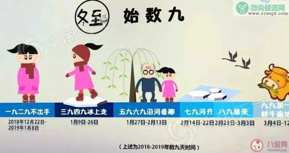 冬至为何大如年 民间为什么有冬至大如年的说法