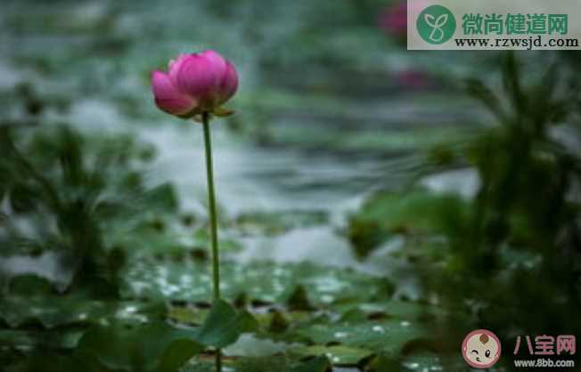 黄梅季节为什么容易有皮肤病 梅雨季节怎么预防皮肤病