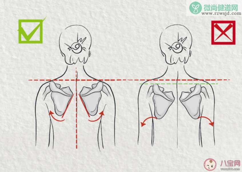 直角肩和圆肩到底哪种才是健康 苦练直角肩身体会遇到什么问题