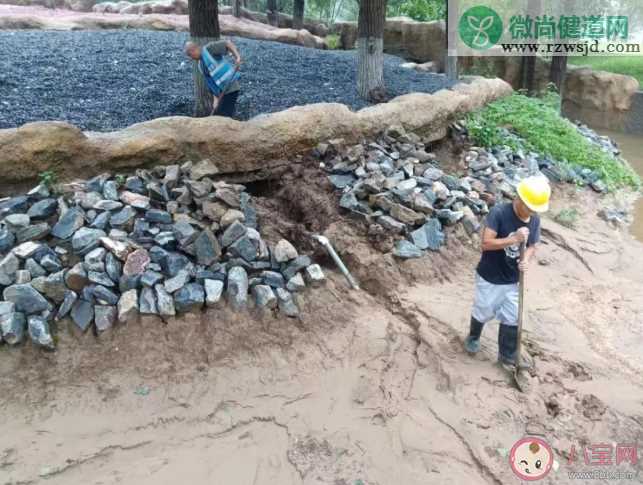 暴雨洪灾后个人防疫关注7个重点 哪些疾病最有可能发