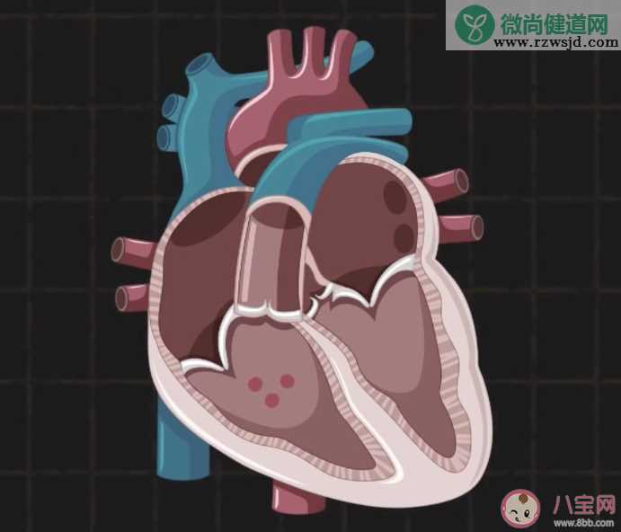 熬夜后的心脏有哪些变化 应该怎样保护心脏