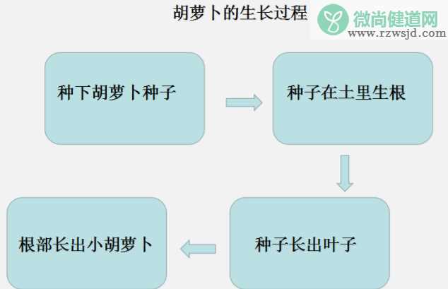 孩子思维导图怎么画 思维导图画法大全