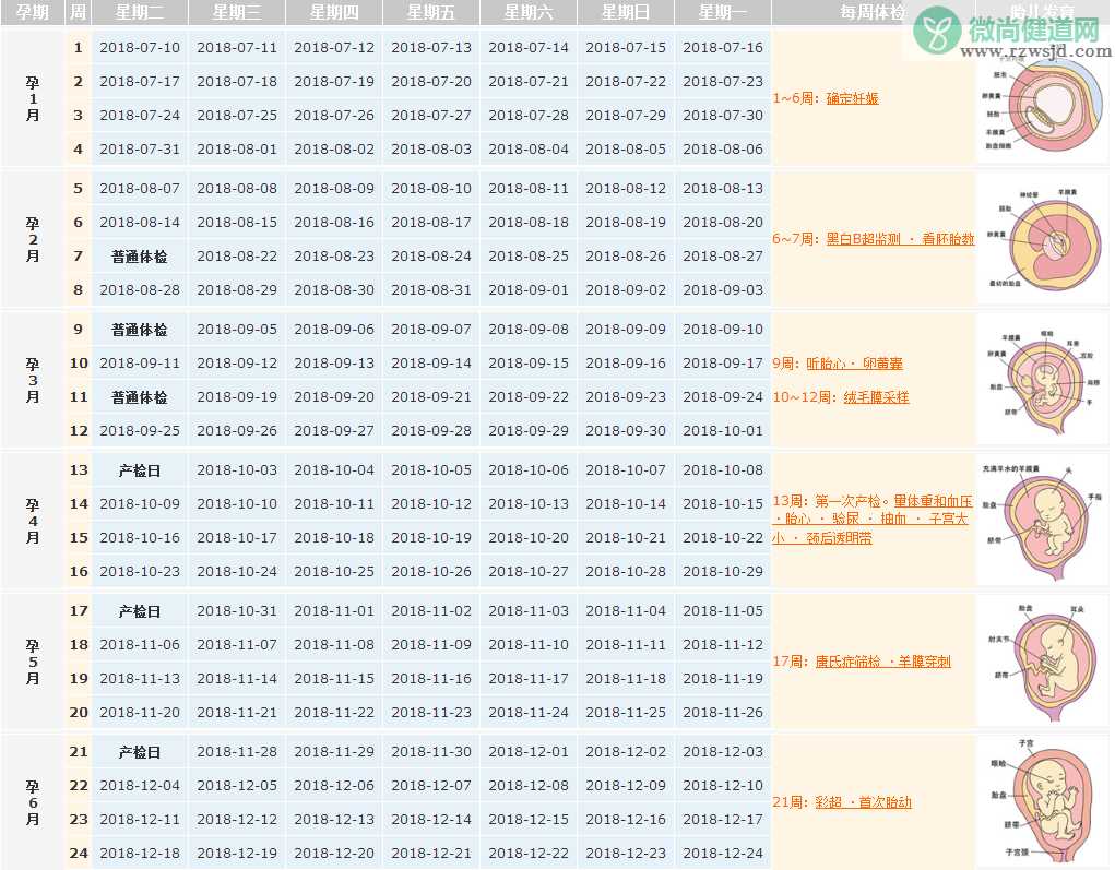 2018末次月经7月10日预产期是什么时候 末次月经7月10日推算孕周表