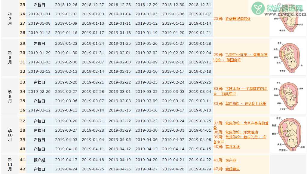 2018末次月经7月10日预产期是什么时候 末次月经7月10日推算孕周表