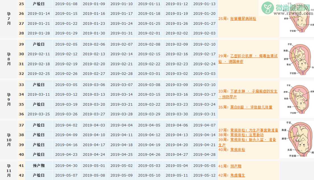 2018末次月经7月23日预产期是什么时候 末次月经7月23日算产检表