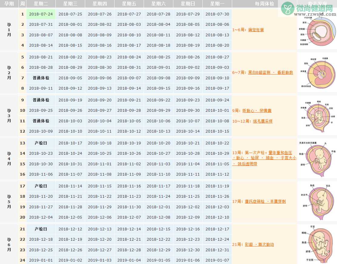 2018末次月经7月24日预产期是什么时候 月经不调怎么算预产期