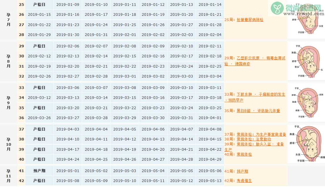 2018末次月经7月24日预产期是什么时候 月经不调怎么算预产期