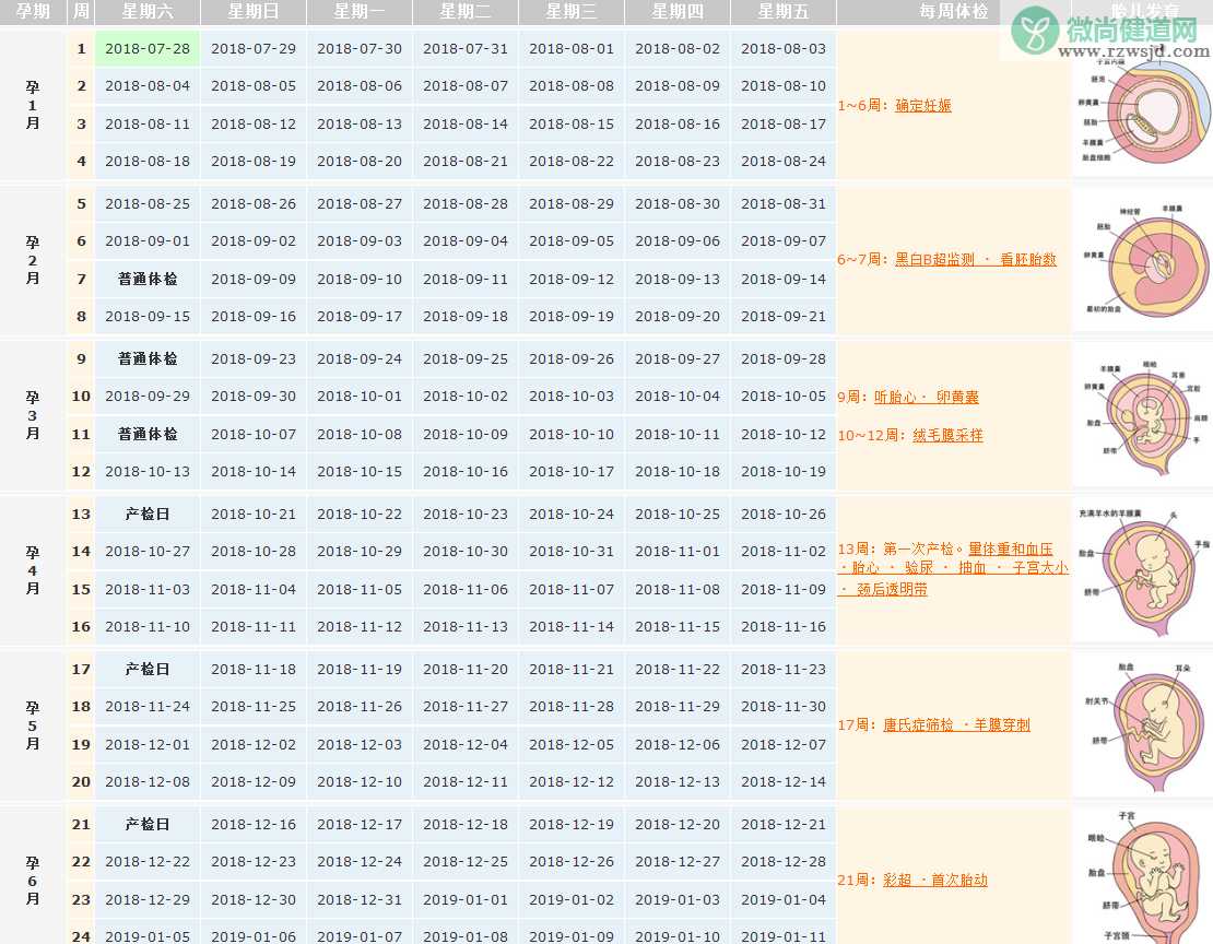 2018末次月经7月28日预产期是什么时候 末次月经7月28日产检表