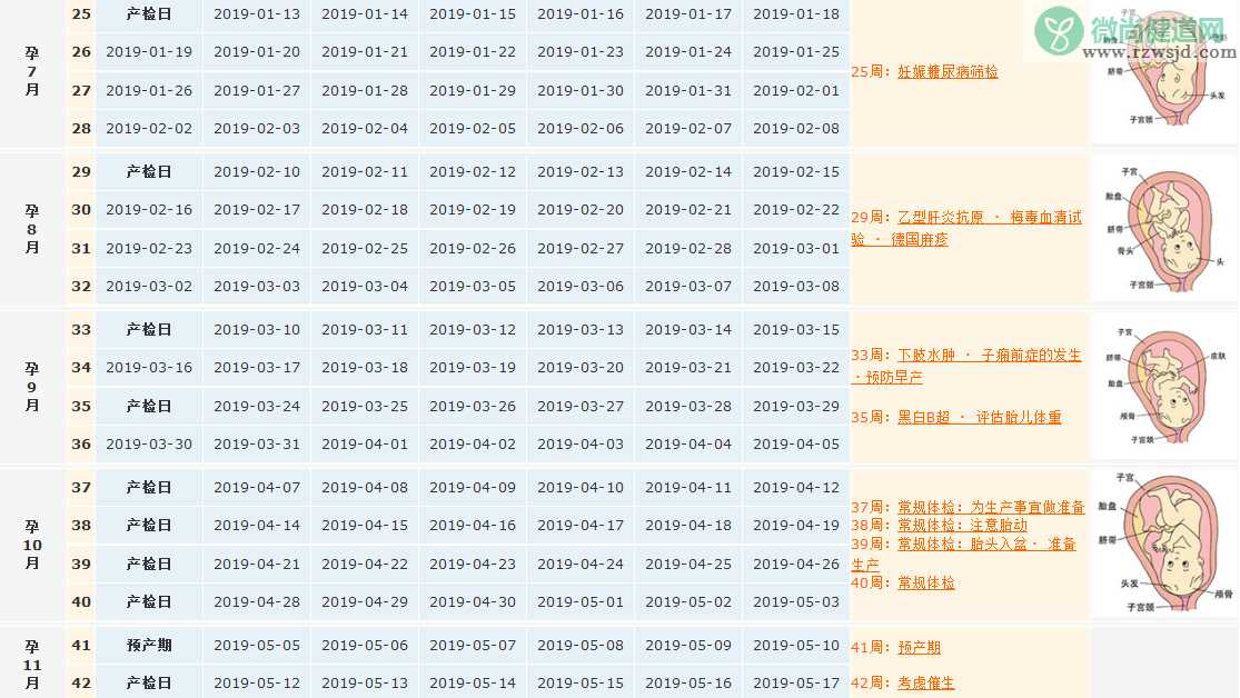 2018末次月经7月28日预产期是什么时候 末次月经7月28日产检表