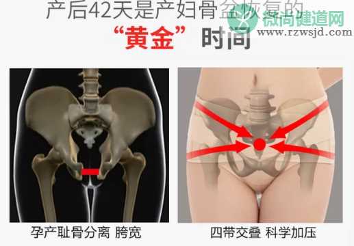 产后盆骨带有用吗 盆骨矫正带作用介绍