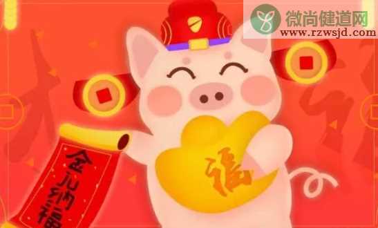 2019是金猪宝宝吗 最近的金猪宝宝是哪一年