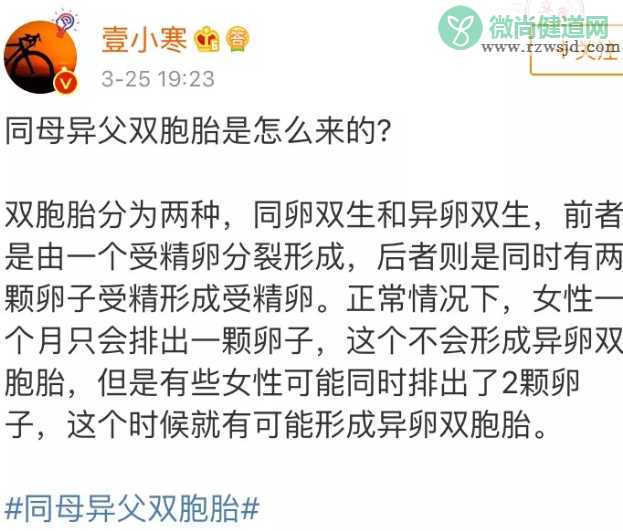 厦门同母异父双胞胎怎么回事 同母异父双胞胎几率多大