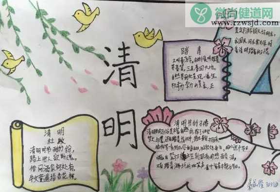 幼儿园清明节手抄报图片 简