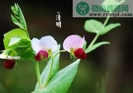 清明节发朋友圈怎么说 2019清明节的朋友圈说说